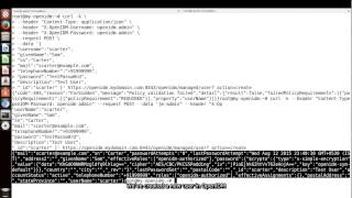 OpenIDM REST Interface [upl. by Micaela932]