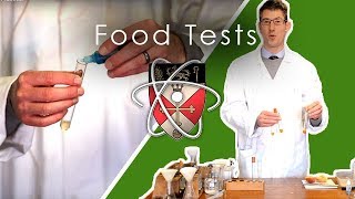 Food Tests  GCSE Science Required Practical [upl. by Atsirt]