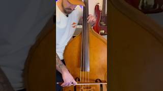 Upright Bass Bow uprightbass doublebass violin bass strings bow instrument music shorts [upl. by Etnuahs]