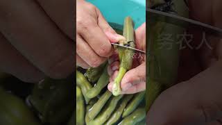 Vegetables Cutting shorts youtubeshorts agriculture farming [upl. by Yroger351]