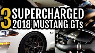 THREE 2018 Supercharged Mustang GTs on the DYNO Vortech  Procharger  93  E85 [upl. by Davidde]