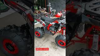 new commander 2024 trailterbaru minitrail minimoto [upl. by Brandais]