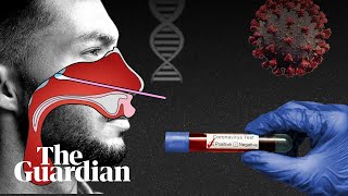 Coronavirus tests how they work and what they show [upl. by Vey]