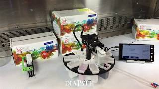 Tiziano Ultra Compact Automatic Stainer Diapath [upl. by Yale893]