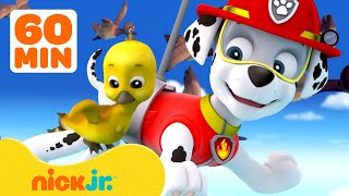 PAW Patrol Baby Animals Rescues amp Adventures w Marshall 🐥 1 Hour Compilation  Nick Jr [upl. by Blandina]