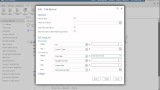 Trial Balance [upl. by Anneirda]