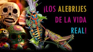 ¡Alebrijes REALES Chapulines Arcoíris  Grillos Payaso  Feliz Día de Muertos [upl. by Silvie]