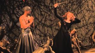 Live at the Met Summer Encore  Armida [upl. by Goebel]