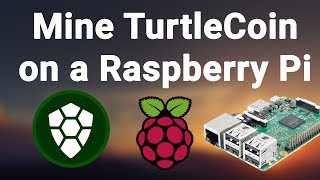 How to mine TurtleCoin on a Raspberry Pi [upl. by Dnama]