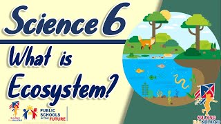 SCIENCE 6 ECOSYSTEM  Grade 6 [upl. by Ahsinit712]