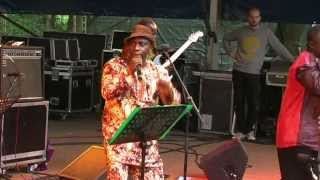 Samba Mapangala amp Orchestra Virunga  6  LIVE at Afrikafestival Hertme 2012 [upl. by Leakcim]