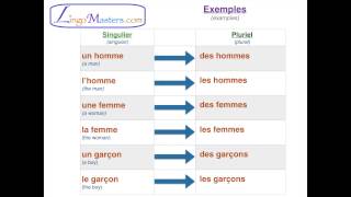 Learn French Lesson 5  Masculine amp Feminine nouns in French [upl. by Catlaina]