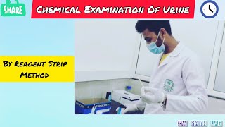 Urine examination by Reagent strip method [upl. by Hanimay]