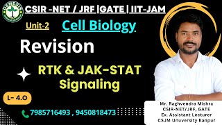 RTK amp JAKSTAT Signaling  Cell Biology  Unit2  genesisinstitute lifesciencecsirnet csir [upl. by Rovaert]