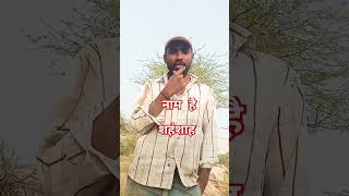 नाम है funnycomedymovies [upl. by Plank]