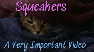 SqueakersA Very Serious Video [upl. by Kenwee]