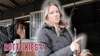 Deze SIGNALEN moet je op LETTEN🐴 Gebitsbehandeling bij de paarden 🦷🪥 [upl. by Yelrahs]