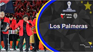 Los Palmeras  2019 CONMEBOL SUDAMERICANA  Final  COLÓN VS IDV 🎉🏆⚽️ [upl. by Yatnod]