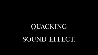 Duck Quacking Enthusiastic Waterfowl Sounds in Natural Setting Sound Effect [upl. by Zebada108]