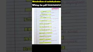 Metabolism of carbohydrates Glycogenesis Glycogenolysis gluconeogenesis notes 9131769071 biolog [upl. by Nedry]