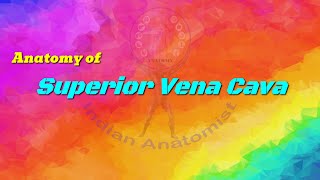 SUPERIOR VENA CAVA  anatomy anatomyandphysiology humanbody fmge inicet neet usmle [upl. by Atikan840]