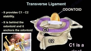 Cervical Spine Trauma  Everything You Need To Know  Dr Nabil Ebraheim [upl. by Lupee]