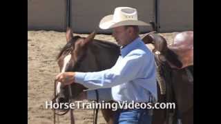 Horse Training Aid  Easy Stop [upl. by Tresa579]