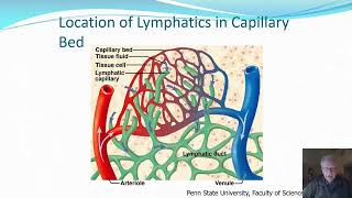 Chronic Venous Insufficiency [upl. by Ainslie]