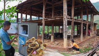 Building a House Foundation Raising Honey Bees in an Old Refrigerator Is It Good [upl. by Elyac863]