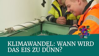 Klimawandel Wann wird das Eis zu dünn – Hamburg – wonachsuchstdu [upl. by Candi]