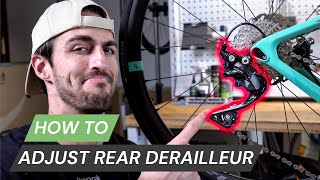 Rear Derailleur Adjustment amp Indexing  The Secret To Perfect Bike Gear Shifting [upl. by Brietta]