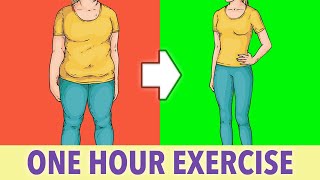 Full Body Fat Burn One Hour Exercise At Home [upl. by Gnilhsa]