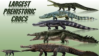 10 Biggest Prehistoric Crocodiles Ever Discovered 2021 [upl. by Aicnerolf]