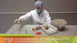 3M™ Petrifilm™ Salmonella Express System 1 [upl. by Magnusson]