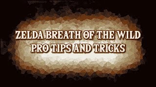 Zelda BOTW Pro Tips and Tricks Part 1 [upl. by Nichols300]