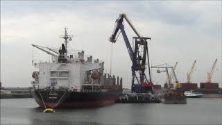 ZEESCHIP LOSSEN IN DE WIHELMINA HAVEN [upl. by Kenison]