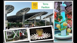 Terra  The Sustainability Pavilion  Expo 2020 [upl. by Enelrats950]