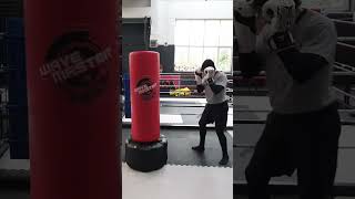 Standing Punch Bag Basic Kickboxing Combos kickboxing martialarts [upl. by Yllib547]