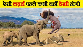 जानवरों की खतरनाक लड़ाइयां जिन्हे देख आपका होश उड़ जायेगा  15 Extreme Wild Animal Fights [upl. by Waxman]