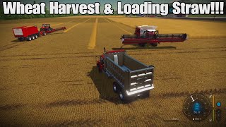 Fox Farms Solo Episode 1 Wheat Harvested amp Sold amp Loading Straw FS22 PS5 [upl. by Colbye]