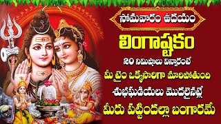 Live  LINGASHTAKAM  LORD SHIVA POPULAR STOTRAS  LORD SHIVA SONGS  Vahini Daily [upl. by Hyman]