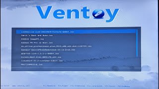 VenToy Booting amp Running Zorin [upl. by Kall]