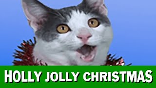 JINGLE CATS quotHolly Jolly Christmasquot [upl. by Guillaume]