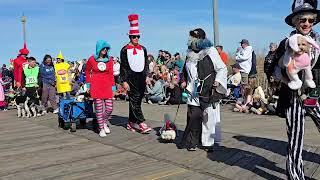 Rehoboth Beach DE Sea Witch Festival Halloween Costumed Dog Parade October 27 2024 [upl. by Essilem]