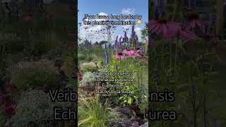 Planting combination ideas for a long border flowers gardening rhs [upl. by Eugen788]