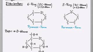 Ringformen der Monosaccharide [upl. by Vera745]