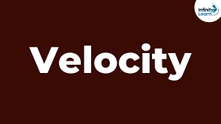 What is Velocity  Full Concept of Velocity  Physics  Infinity Learn [upl. by Yajeet927]