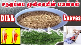 sathakuppai seeds benefits in tamil  சதகுப்பை  சோகிக்கீரை விதை dill seeds Tamil beauty corner [upl. by Valentia]