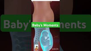 Babys Moments inside the womb 3D Animation fetalmovement shorts short [upl. by Hannus]