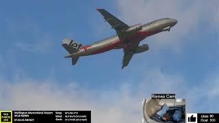 Waitangi New Zealand Day Wellington Airport Livestream with special furry guest [upl. by Gomar238]